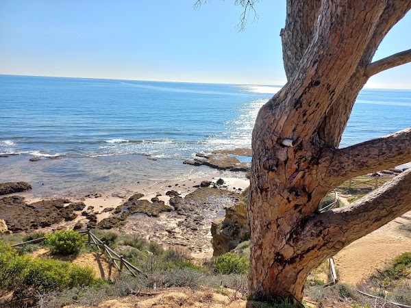 Algar 2