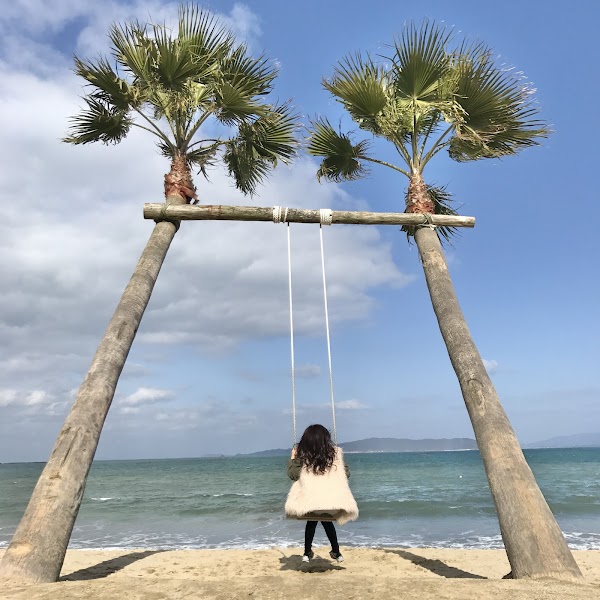 Palm Tree Swing 1