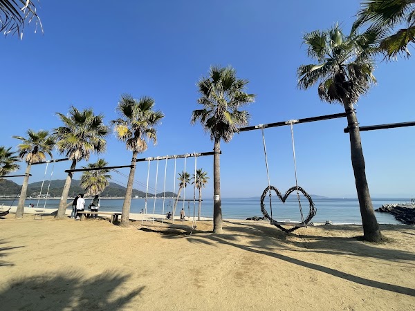 Palm Tree Swing 3