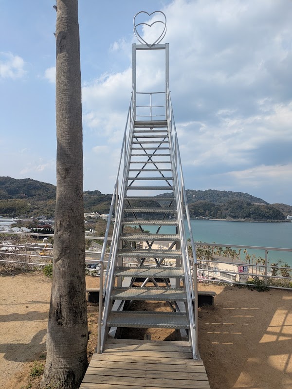 Palm Tree Swing 2