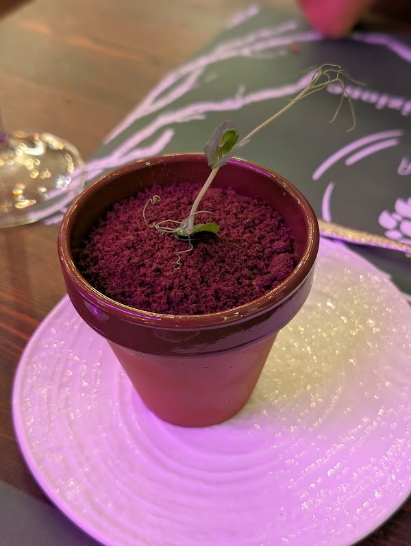 Clorofilla Cucina & Distillati 2
