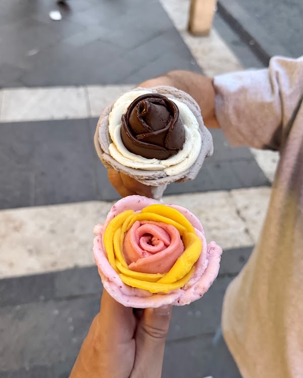 Gelarto Rosa 4