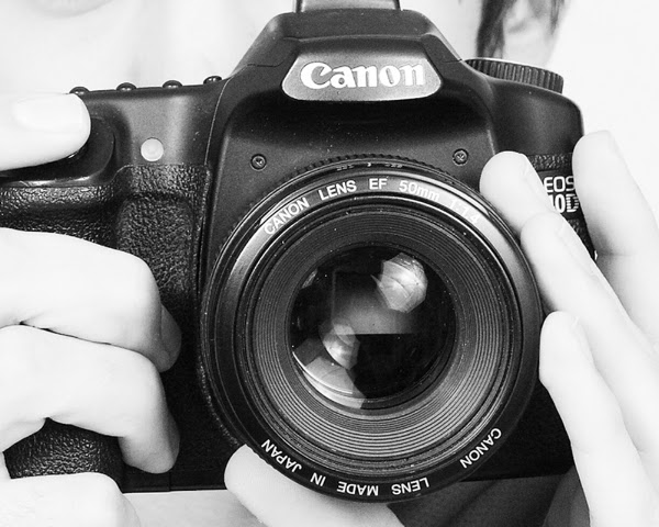VanDyke Photography