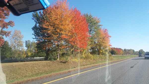 Greenfield