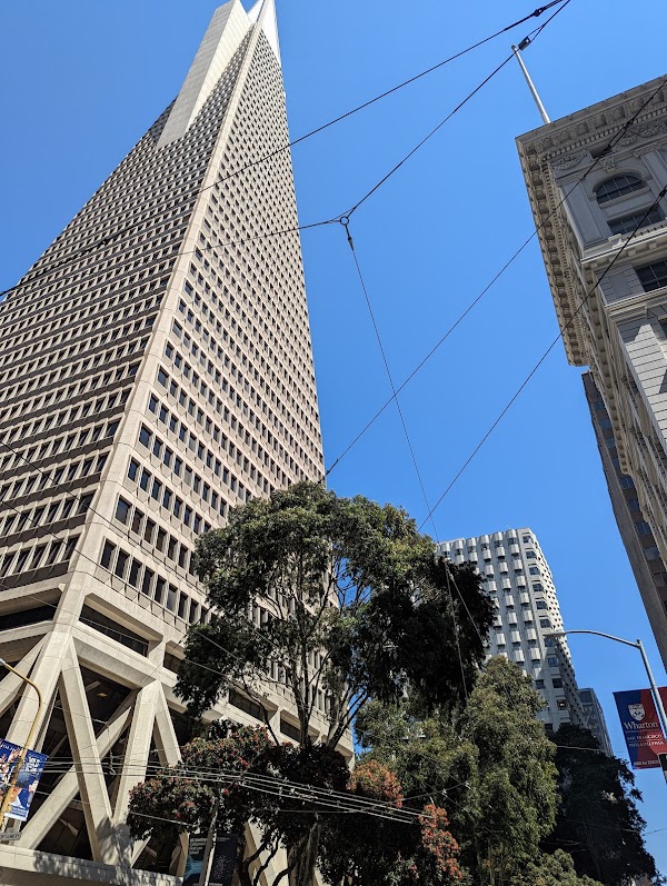 Transamerica Pyramid 1