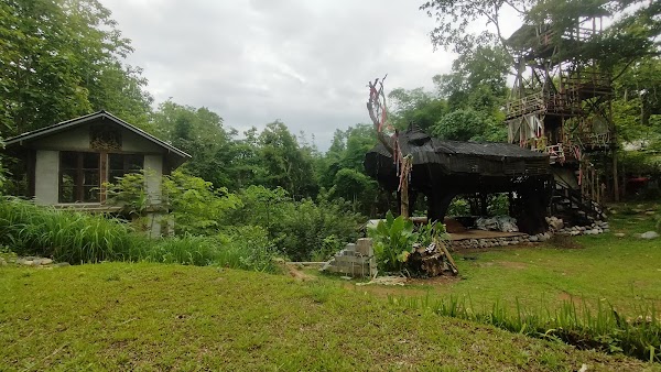 เสือดำ อาร์ตแค้มป์ Tiger Jungle art camp