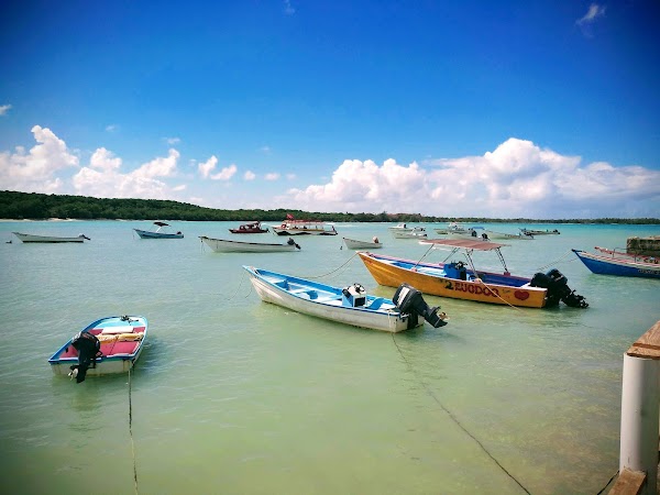 Tobago 1