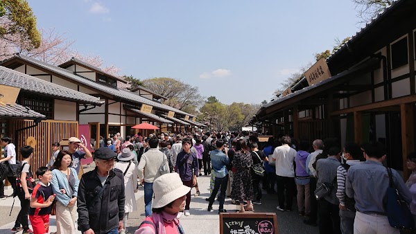 Kinshachi Yokocho 5