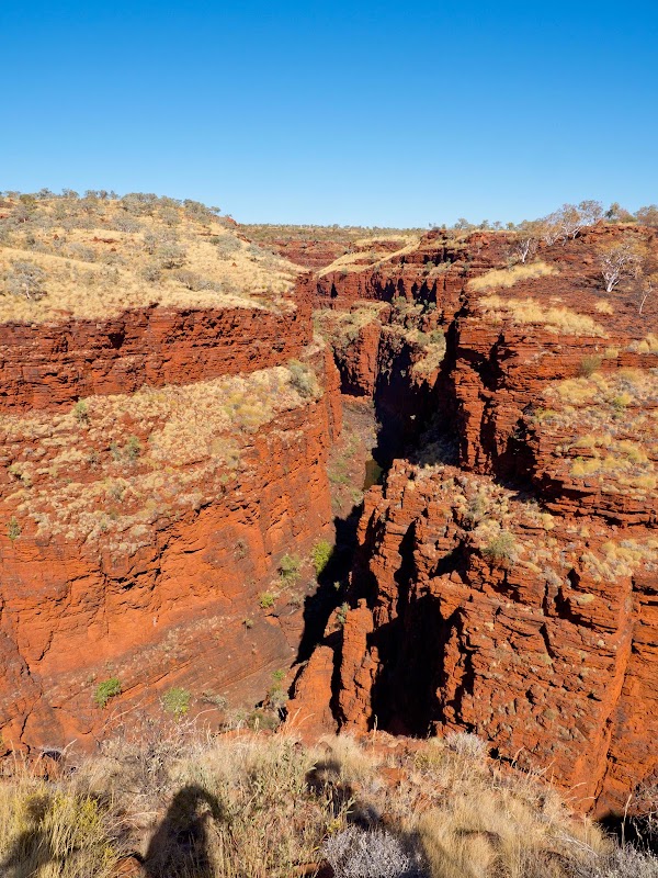 Oxer Lookout