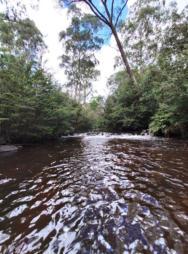 SEC Campground 5