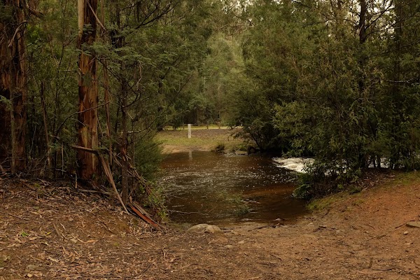 SEC Campground 4