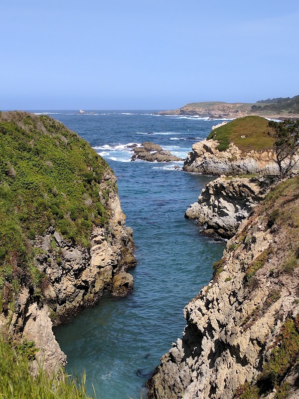 Bird Island Trail 5