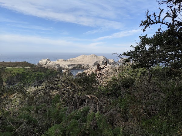 Bird Island Trail 4