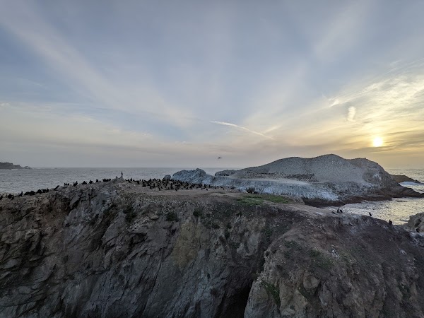 Bird Island Trail 3
