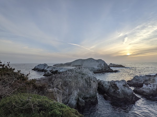 Bird Island Trail 2