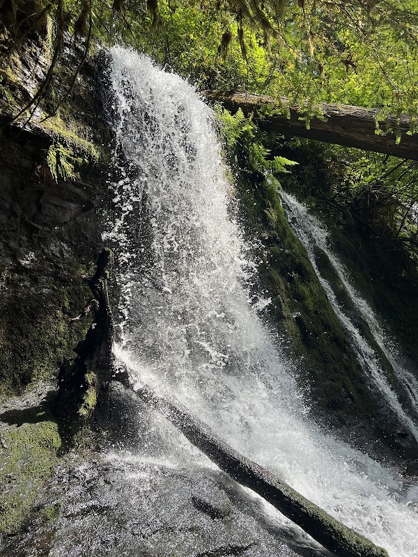 Cherry Creek Falls Trailhead 2