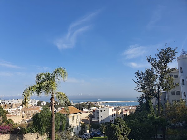 Tangier 29