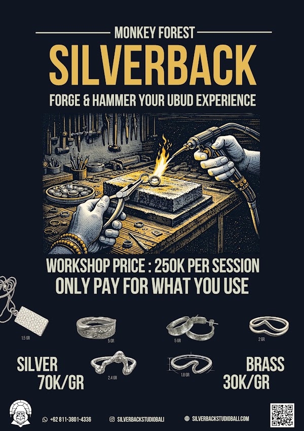 SILVERBACK STUDIO