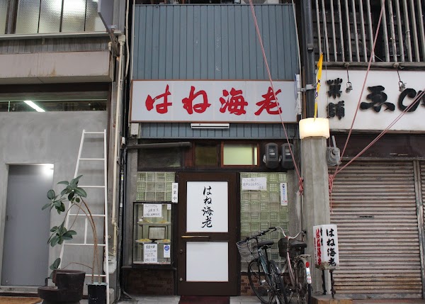 Hane Ebi