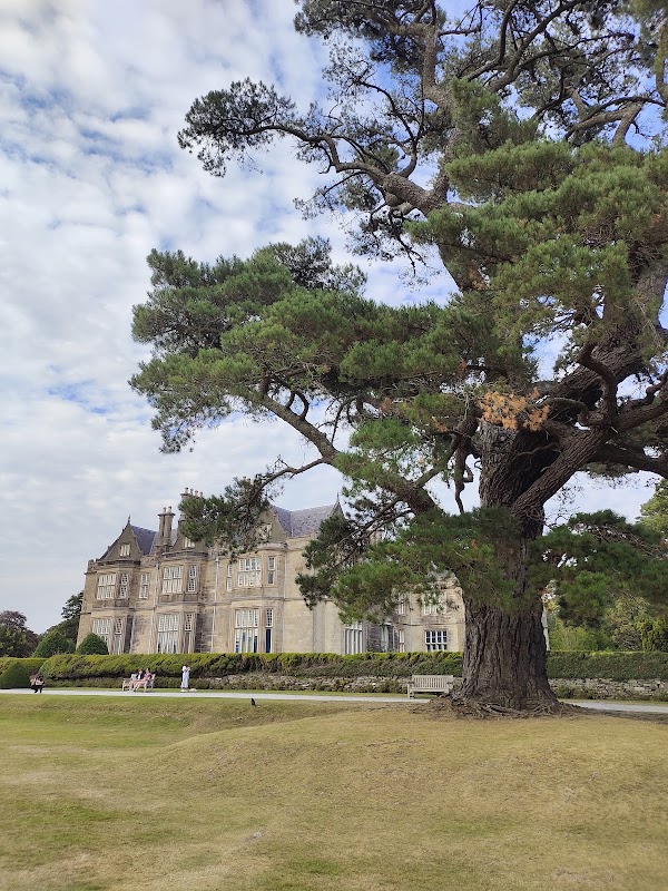 Muckross House 2