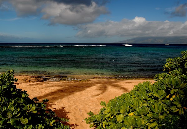 Kapalua