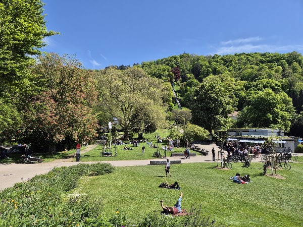 Stadtgarten Freiburg 5