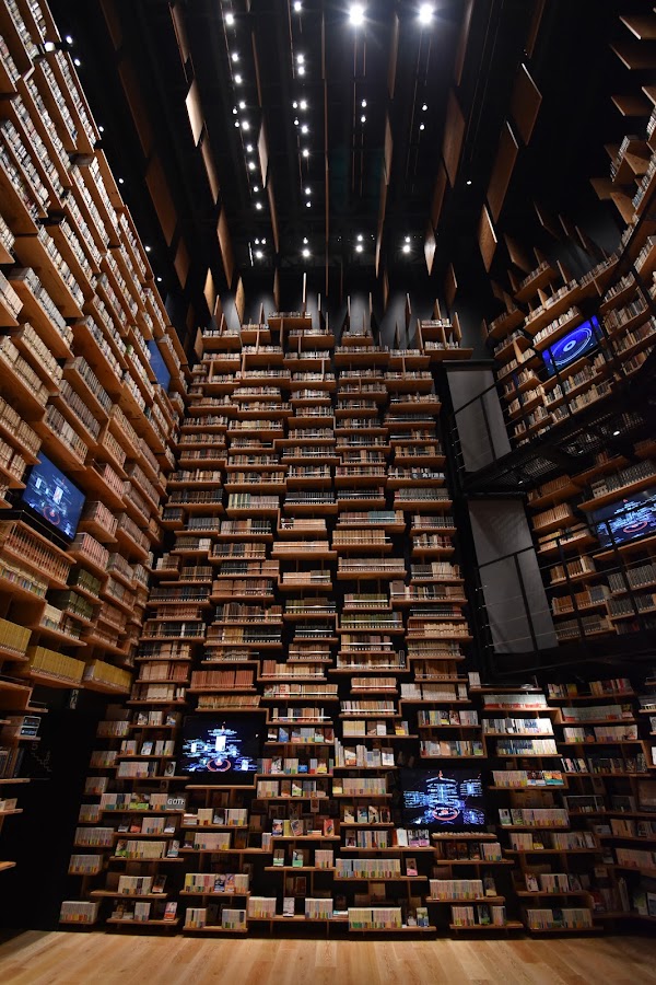 Bookshelf Theater