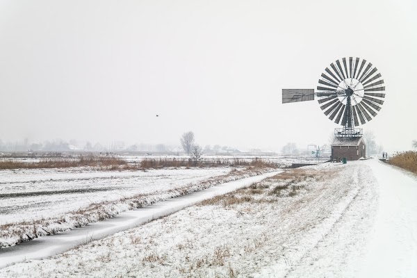 Herkules - Amerikaanse Windmolen 2
