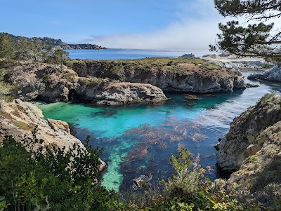 China Cove 1