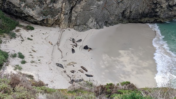 China Cove 5