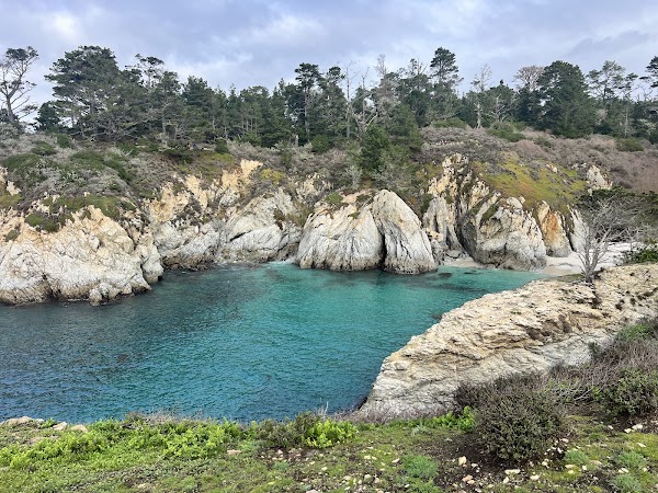 China Cove 3