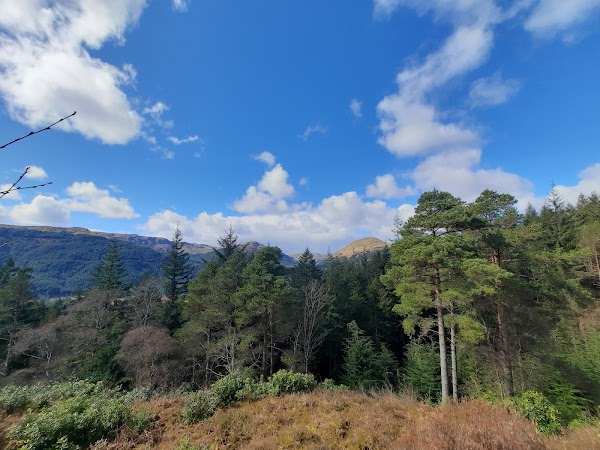 ARGYLL FOREST PARK
