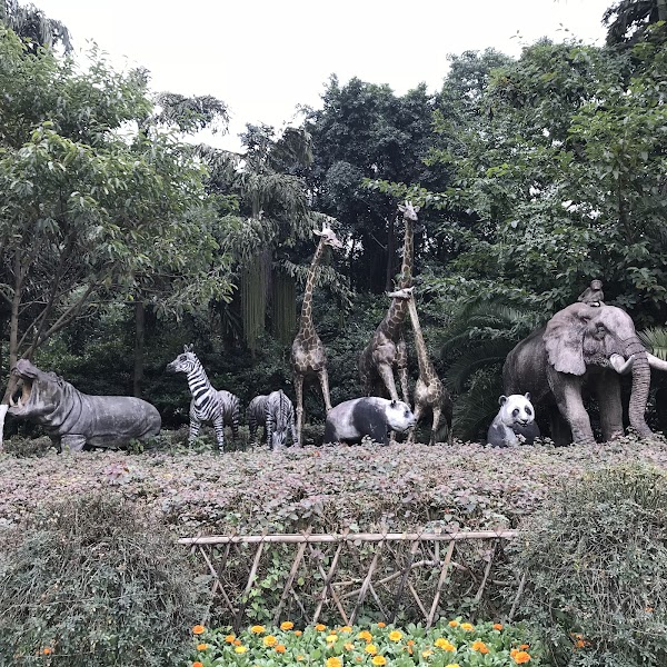 Chongqing Zoo 4
