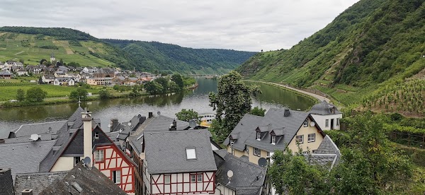 Beilstein 5