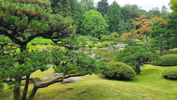 Seattle Japanese Garden 4