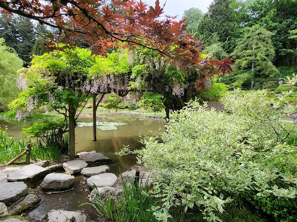 Seattle Japanese Garden 2
