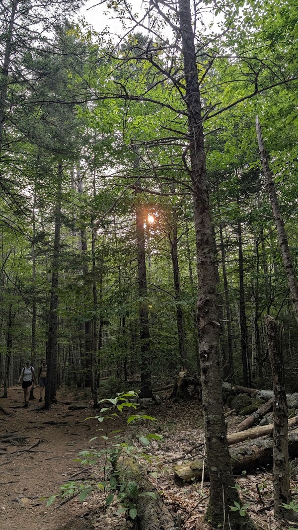 Emerald Pool Trail 4