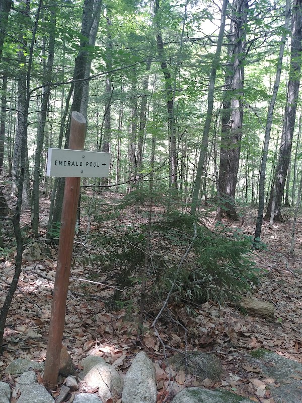 Emerald Pool Trail 3