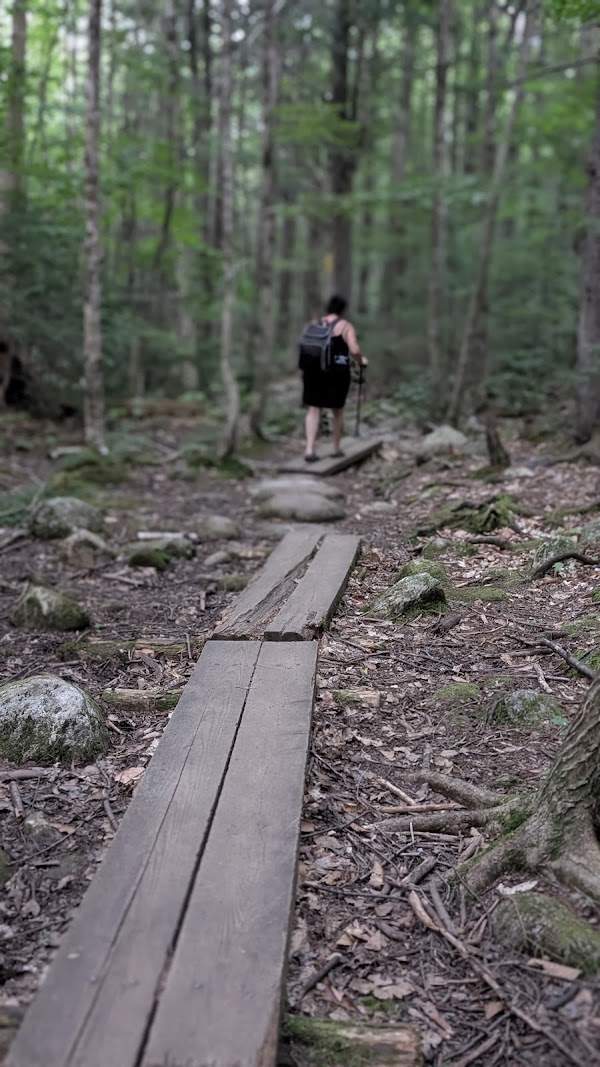 Emerald Pool Trail 2
