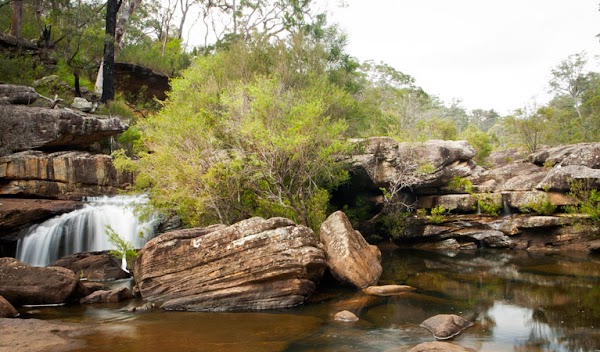 Dharawal National Park 1