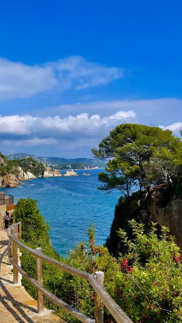 Blanes 3