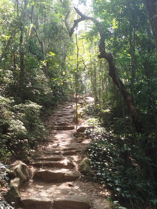 Pedra Bonita 3