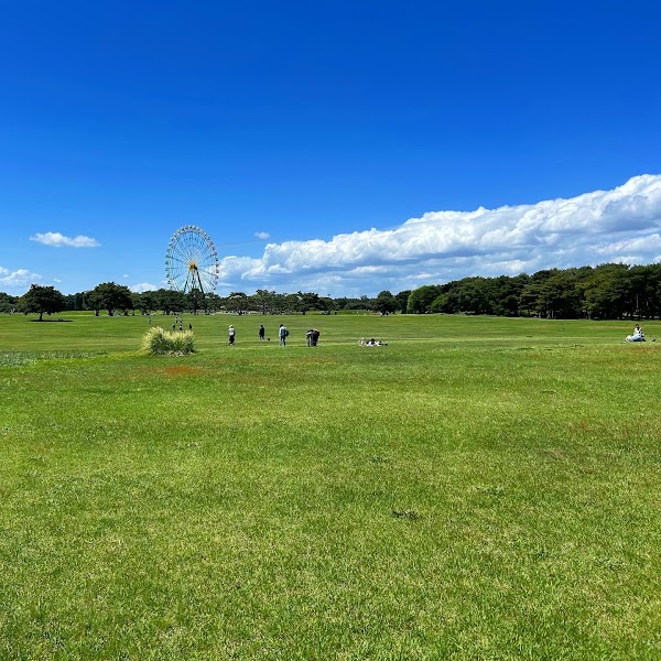 Grassland Area 1