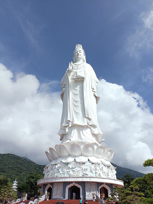 Sơn Trà Mountain 5