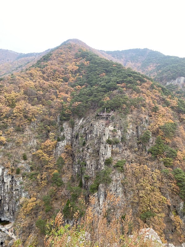 선일대