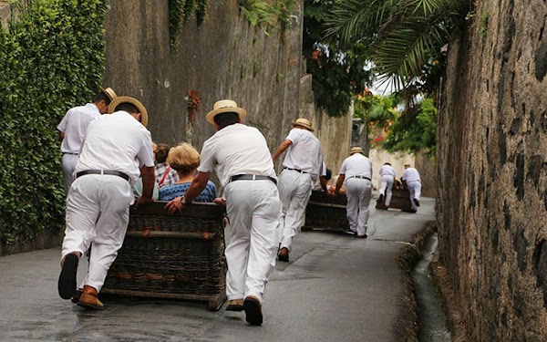 Associação dos Carreiros do Monte 5