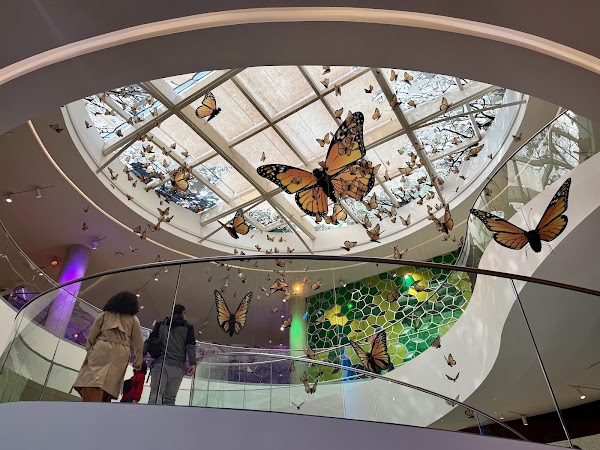 Pabellón Nacional de la Biodiversidad 3