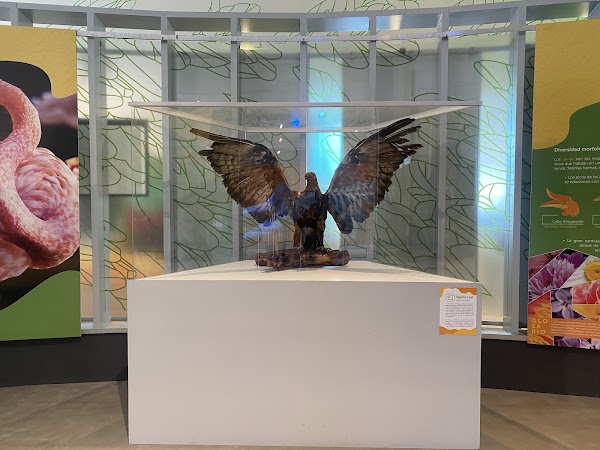 Pabellón Nacional de la Biodiversidad 2
