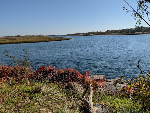 Marine Park 1