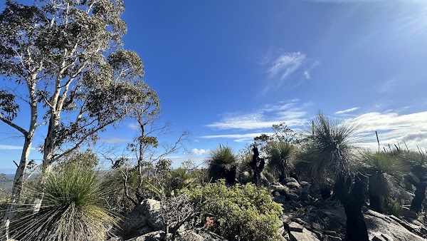 Mount Cooke 4